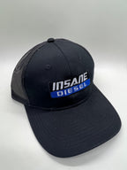 Insane Diesel Hat- Gray Skull